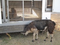 IMG 8571