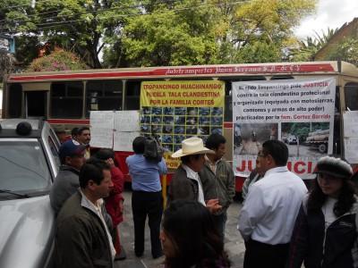 Denuncian tala inmoderada en Huauchinango.