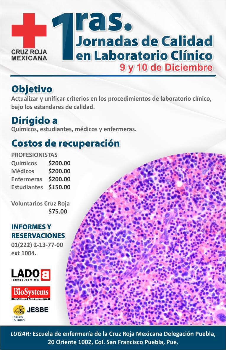 Lado B