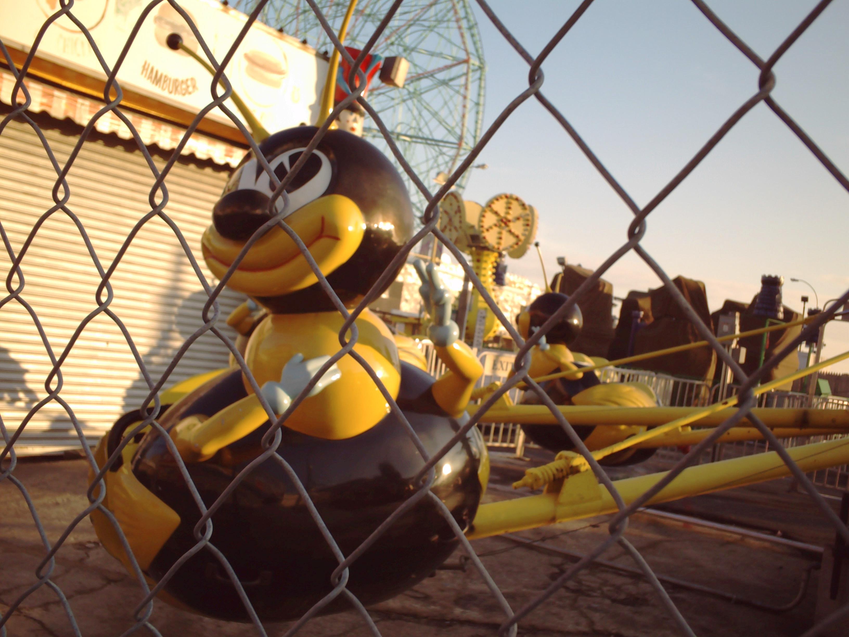 Coney Island en invierno.