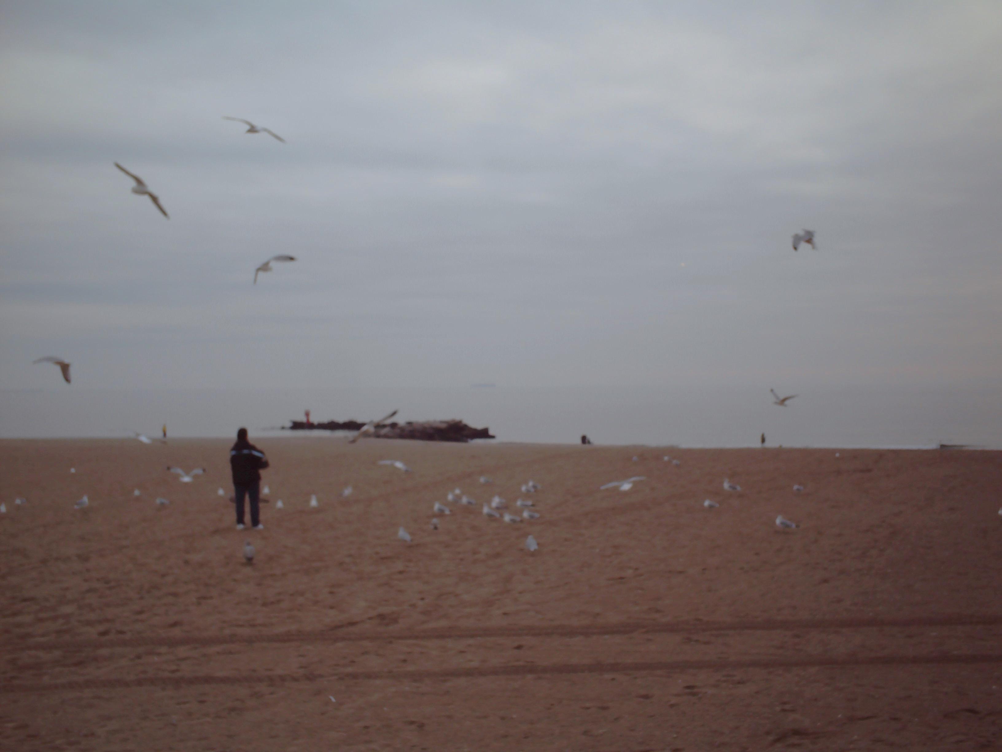 Coney Island en invierno.