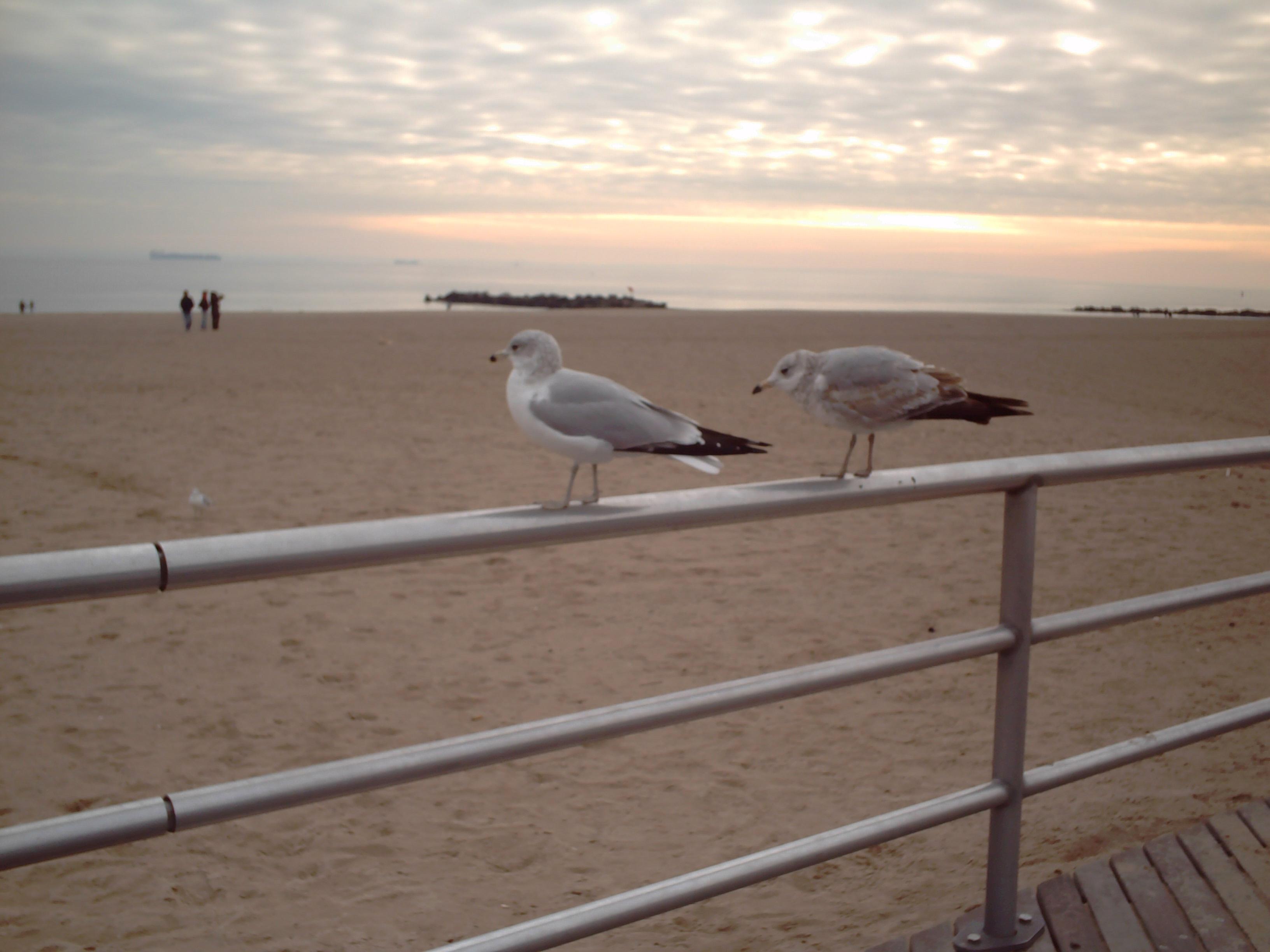 Coney Island en invierno.