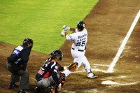 Pericos-Tigres