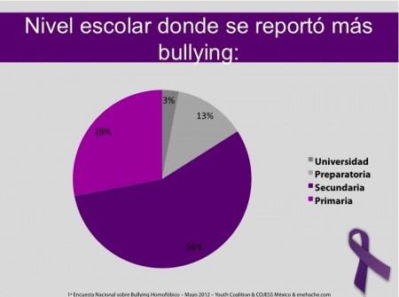 Primera Encuesta Nacional sobre Bullying Homofóbico 7
