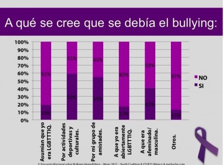 Primera Encuesta Nacional sobre Bullying Homofóbico 8