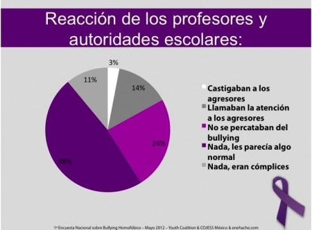 Primera Encuesta Nacional sobre Bullying Homofóbico 10