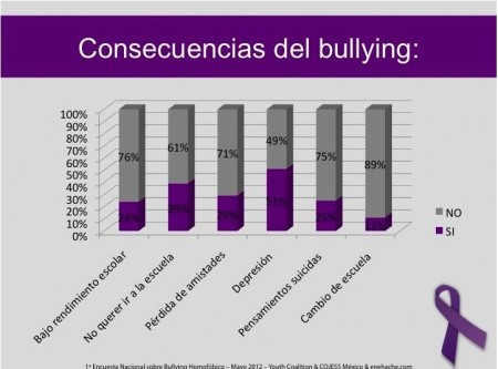 Primera Encuesta Nacional sobre Bullying Homofóbico 12