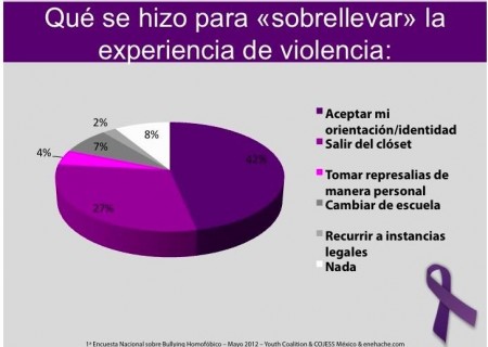 Primera Encuesta Nacional sobre Bullying Homofóbico 13