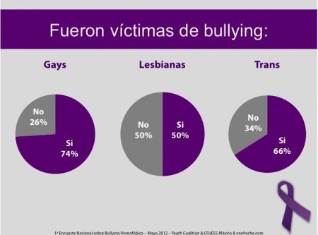 Primera Encuesta Nacional sobre Bullying Homofóbico 4