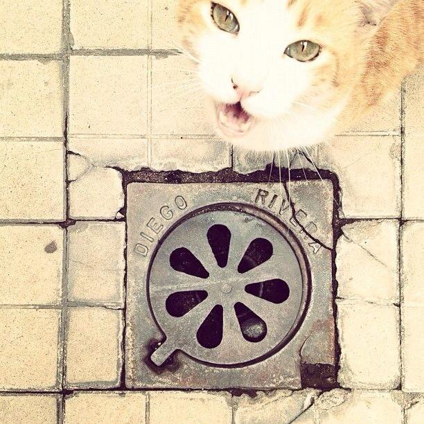 Vintage-3