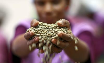 Mujeres en el medio rural en México.