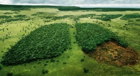 Imagen: http://www.lostiempos.com