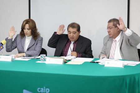 Sesión CAIP 16012013