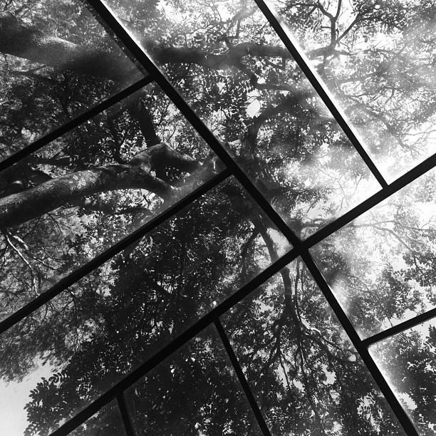 BW_Puebla02
