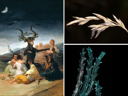Foto: historias cienciacionales