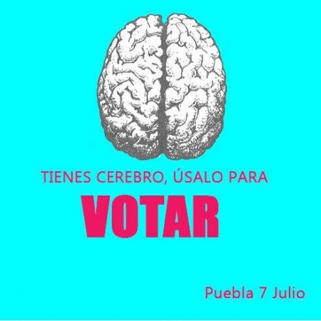 cerebro2