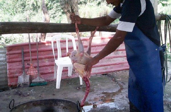 Foto: aguilaosol.org