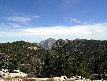 Tomada de wikimedia.org
