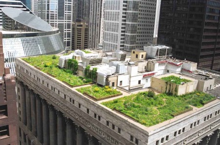 Imagen: http://www.roofportland.com