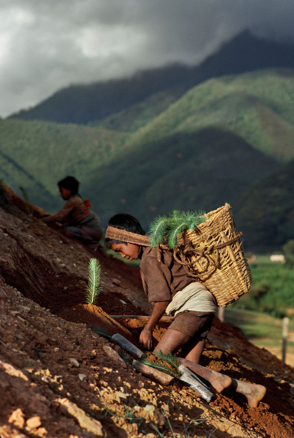 Nepal. Foto: Steve McCurry