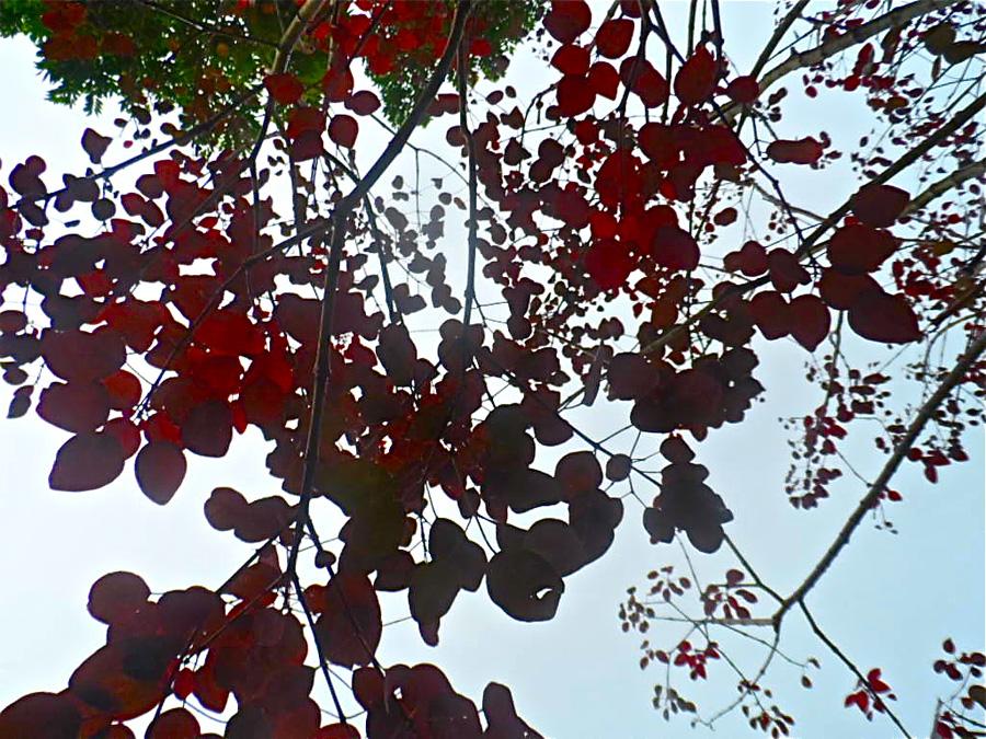 SAM_1180