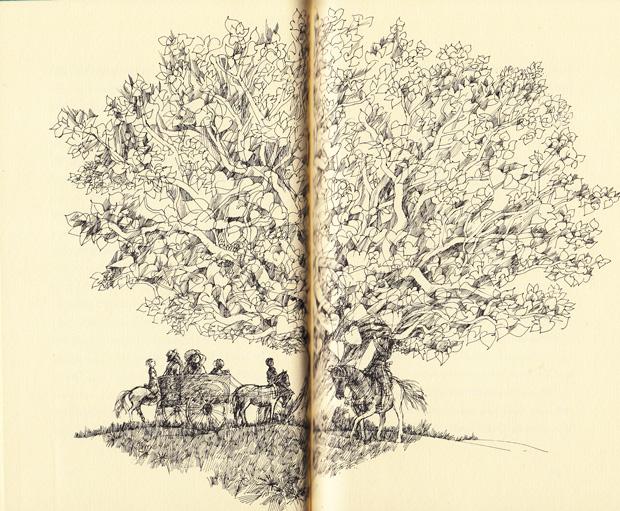 faulknerwishingtree9