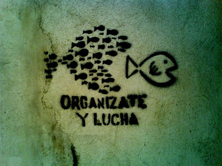 organizate