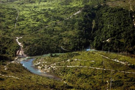 AmanzonasPeru