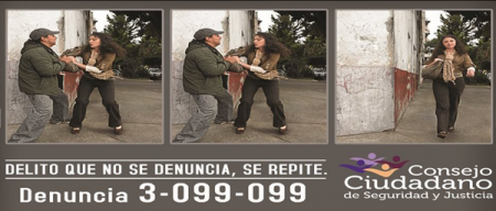 ConsejoCiudadano