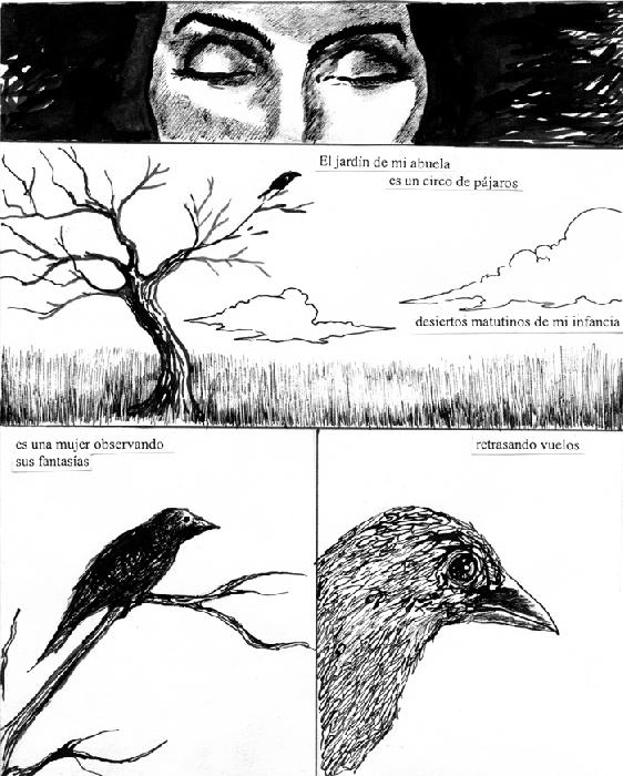 15-pag_1