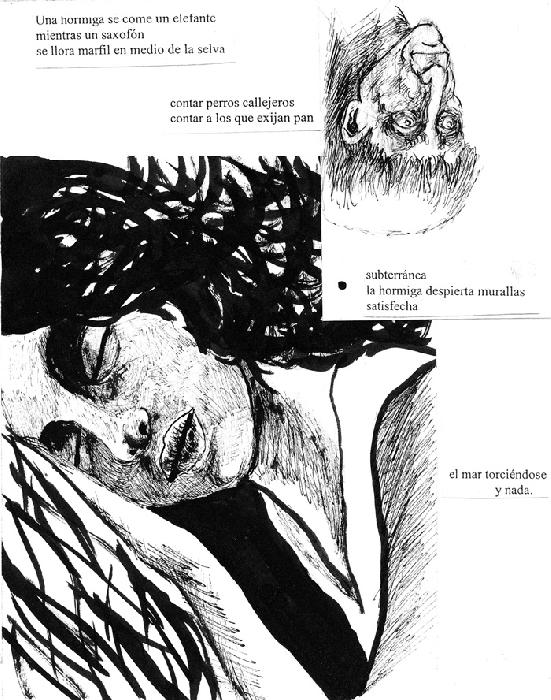 15-pag_5