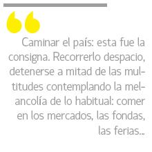 citaSalamandra2