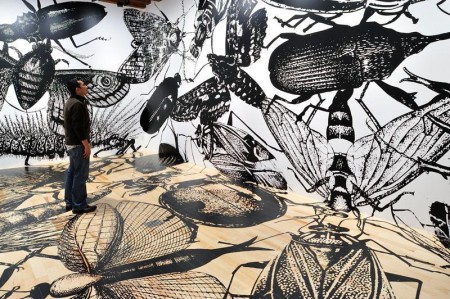Foto: Cortesía | Museo Amparo