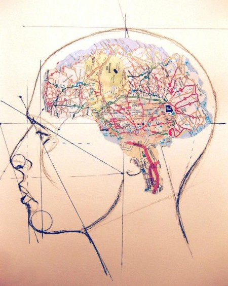 cerebro