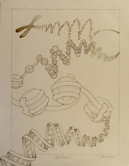 ADN