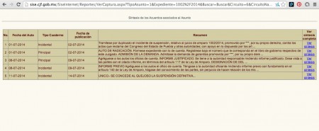 Amparo