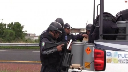 Polis