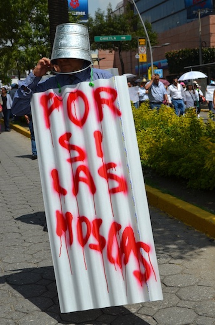 Foto: Mayra Guarneros