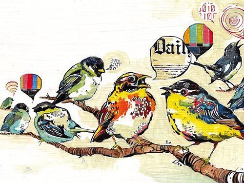 pajaros