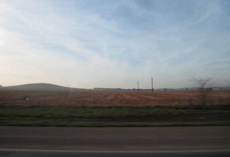 olavarria_maru_01_izq