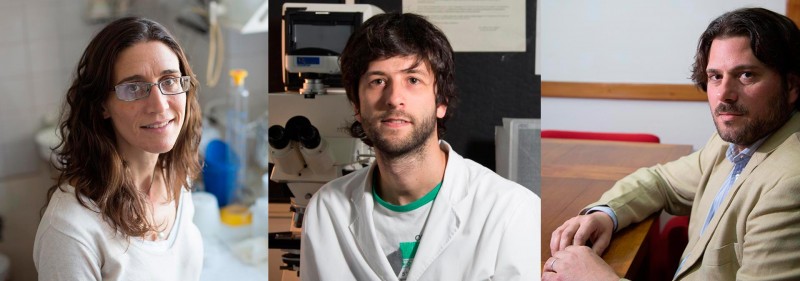 animales-ciencia-gesualdi-2-caja