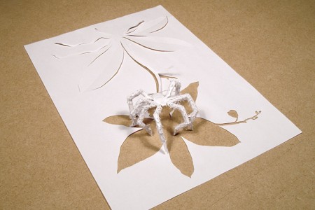 13_in-the-shadow-of-an-orchid-1_v2