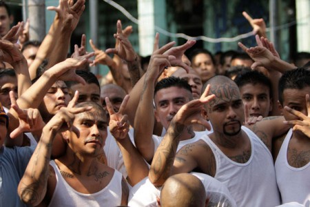El-Salvador-Revela-que-pandillas-MS-y-18-planean-unirse-y-formar-la-Mara-503-