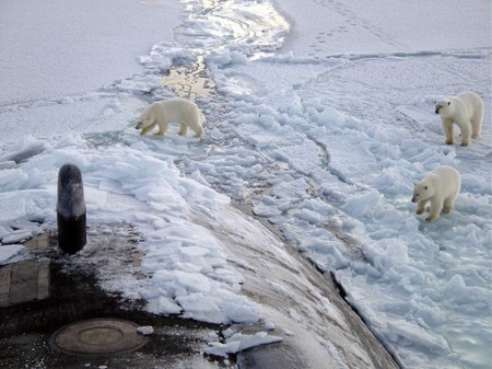 Tres osos polares se acercan a la proa del submarino USS Honolulu en el Polo Norte.
