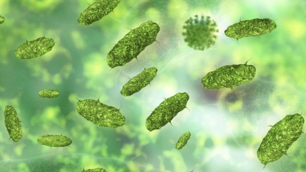 La siembra vaginal podría implicar la transmisión de bacterias como la clamidia, gonorrea y virus del herpes simple, que pueden causar infecciones en el bebé.