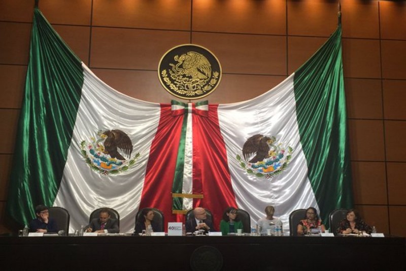 relatorMichelForst01redDefensorasDHMexico