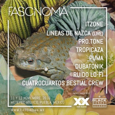 fascinoma-2