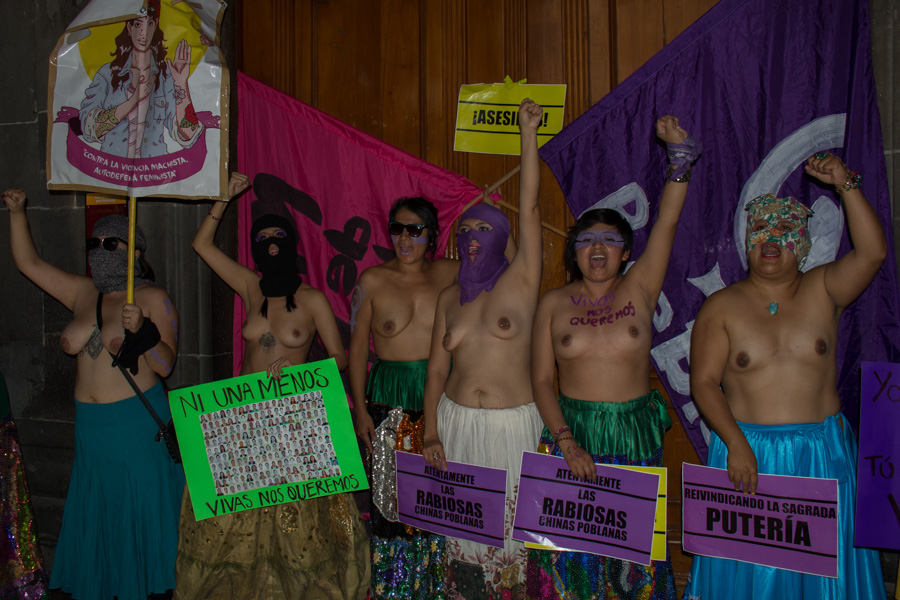 Foto: Ámbar Barrera
