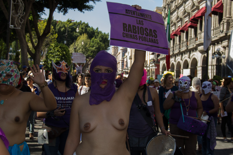 Foto: Ámbar Barrera