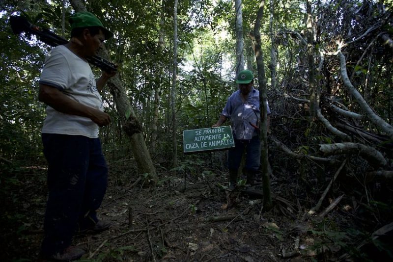 Quieren hacer rentable la conservación y están produciendo productos como carbón vegetal y aceite de coco, además de recibir turistas que quieran sorprenderse con este rincón de Perú. Foto: Conservamos por Naturaleza, tomada de Mongabay Latam.